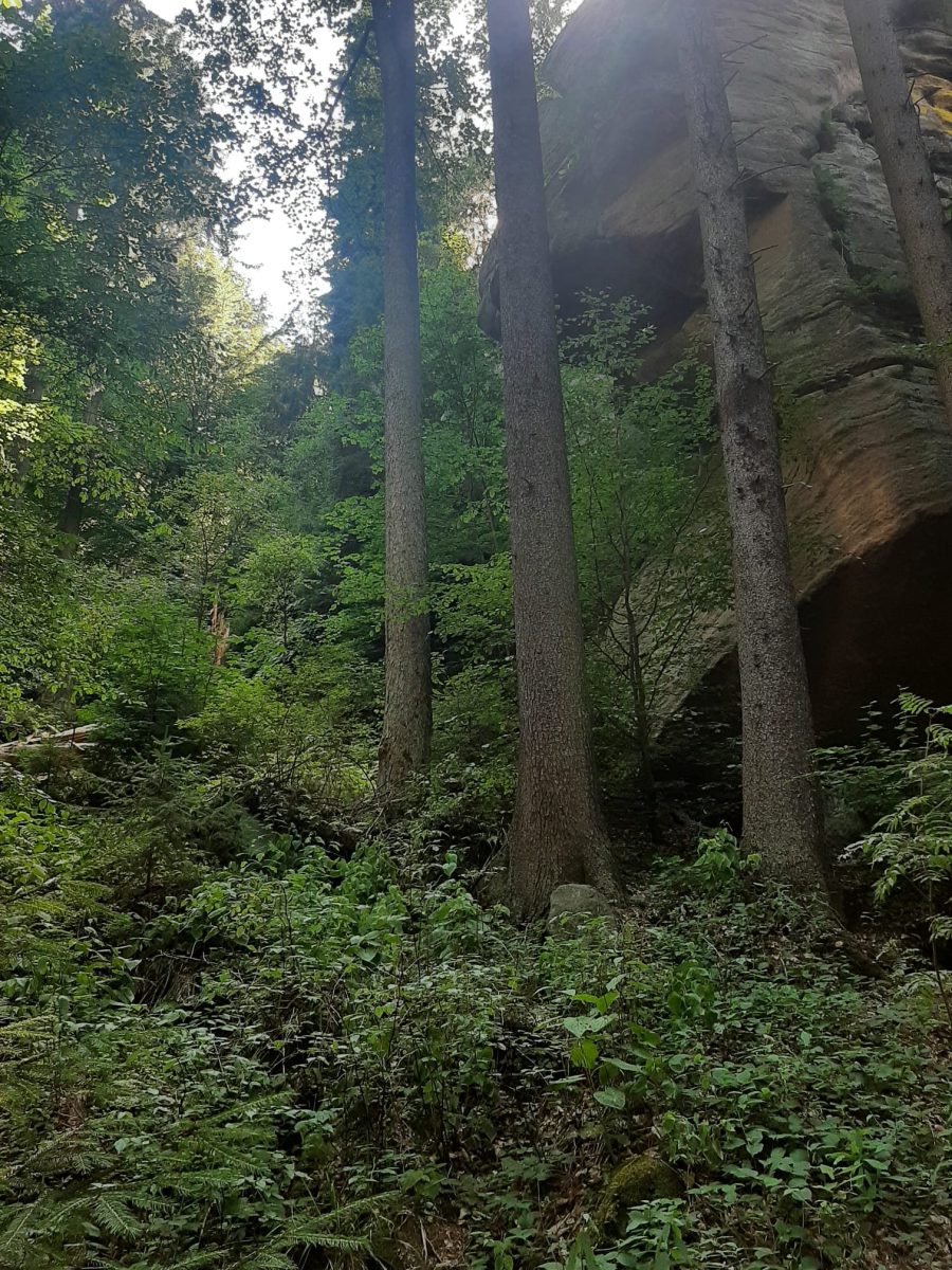 Rustmoment in de natuur als reset voor lichaam en mind